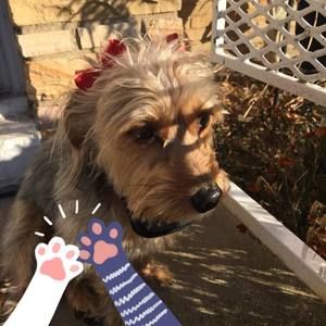 Meet your Posher, Jeanne